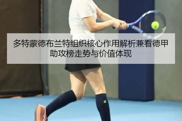 多特蒙德布兰特组织核心作用解析兼看德甲助攻榜走势与价值体现