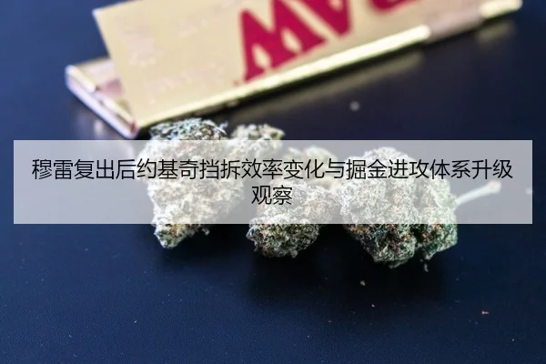 穆雷复出后约基奇挡拆效率变化与掘金进攻体系升级观察