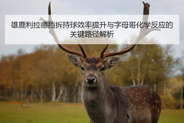 雄鹿利拉德挡拆持球效率提升与字母哥化学反应的关键路径解析